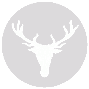 The badge of the order is unregistered, however we use (Fieldless) A stag's head cabossed Argent.